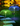 SET 2 x Lampa Solara Gradina Tip jellyFISH - RGB
