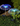 Set 4 x Lampa Solara Gradina Tip jellyFISH - RGB